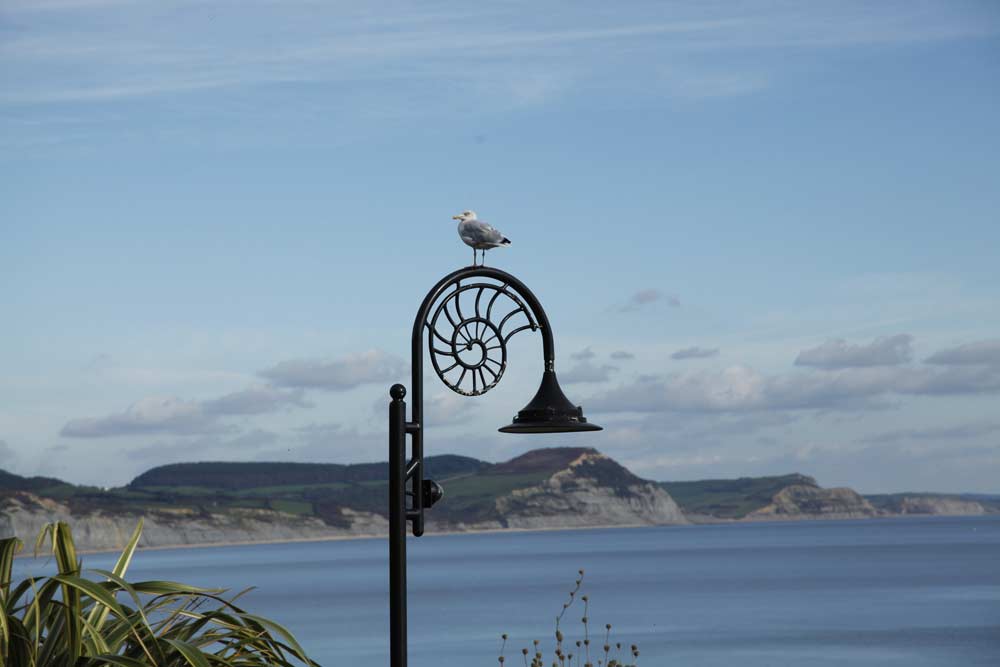 Lyme-Regis-Seagull