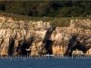 jurassic-coastline