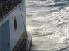 the-paddle-current
