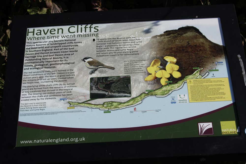 Haven-Cliffs