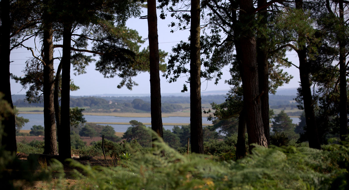 View-on-Arne