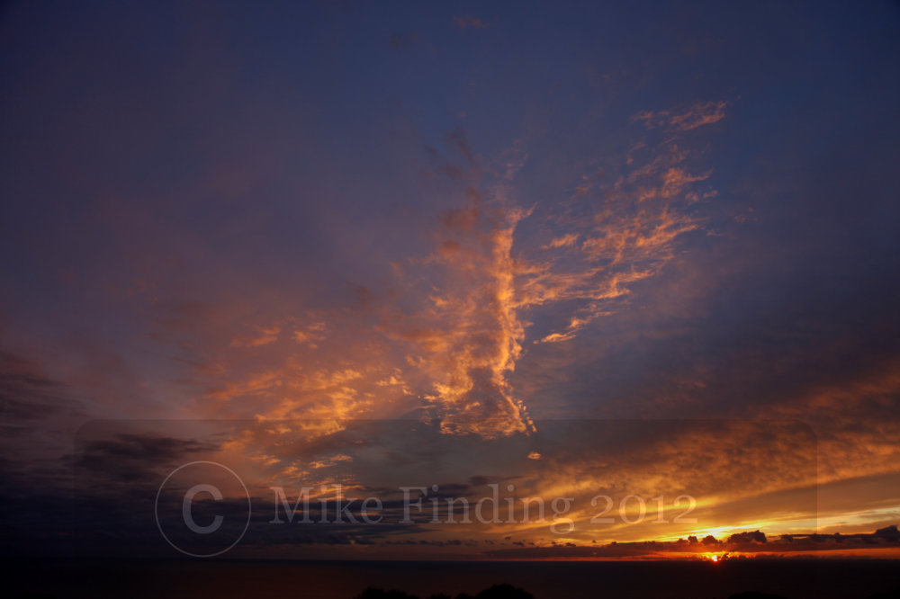 Phoenix arising over the Jurassic coast - photo