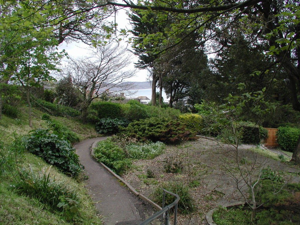 A view thro' Lyme gardens