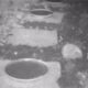 Hedgehog Visiting in December 2021
